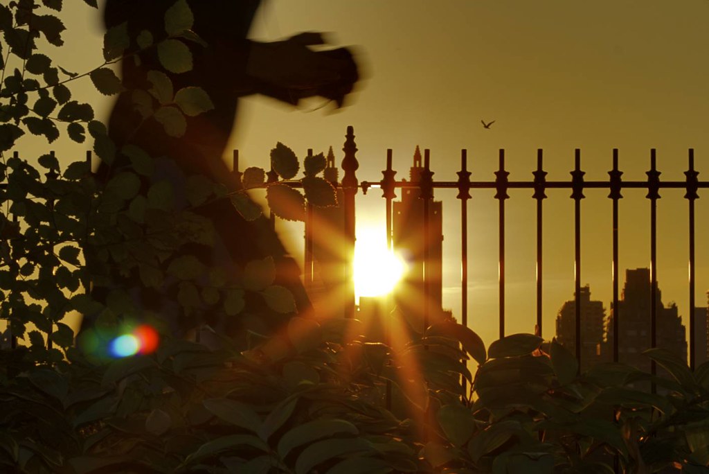 4714658782 fb4d486201 b 4714658782 fb4d486201 b