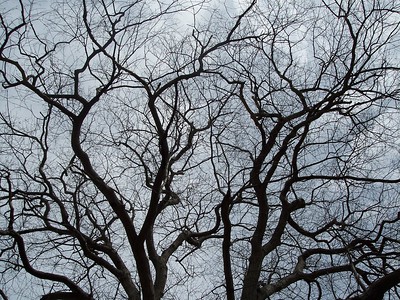 10808259345 68ef7e9454 w